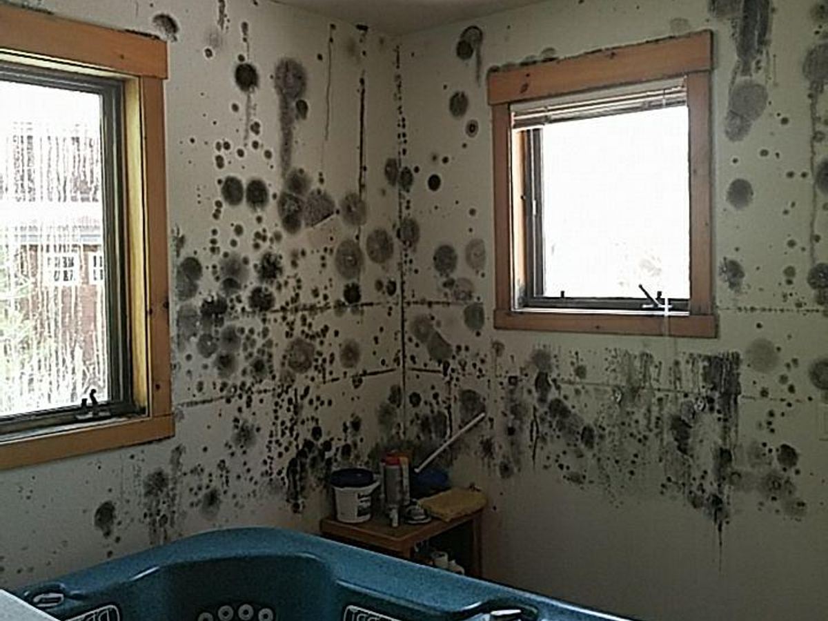 water damage restoration work by North Shore Restore in Esko, MN (photo 6 of 8)