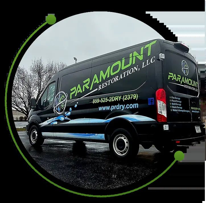 Paramount Restoration — restoration services in Elsmere, KY