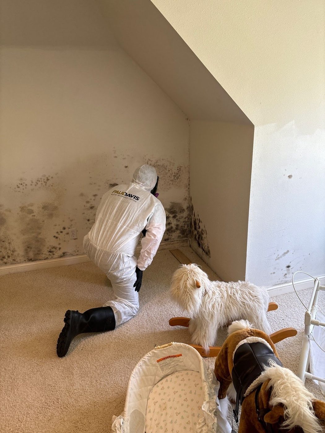 water damage restoration work by Paul Davis Restoration of the Iowa Corridor in North Liberty, IA (photo 5 of 5)
