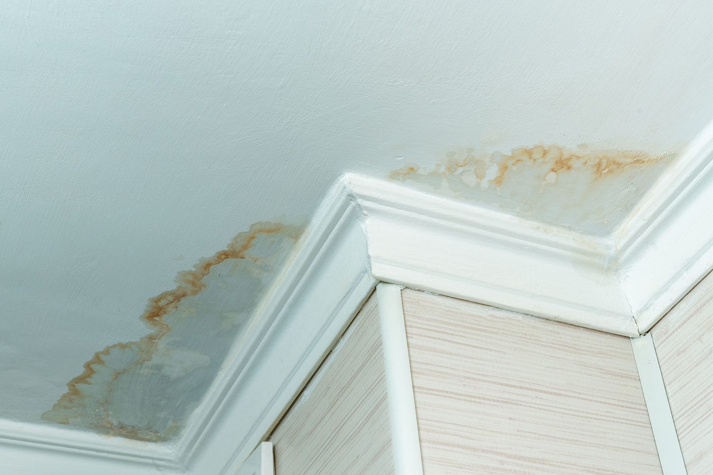 Power Pro Remediation — restoration services in Mandeville, LA