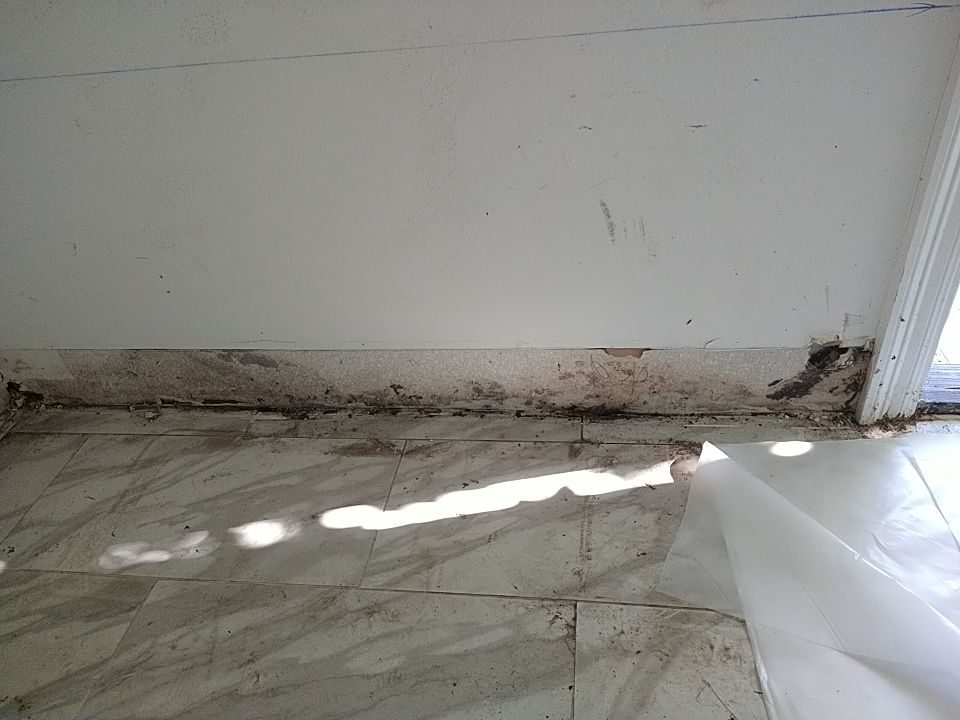 restoration work by Power Pro Remediation in Mandeville, LA (photo 2 of 5)