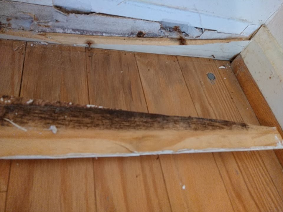 water damage restoration work by Power Pro Remediation in Mandeville, LA (photo 5 of 5)