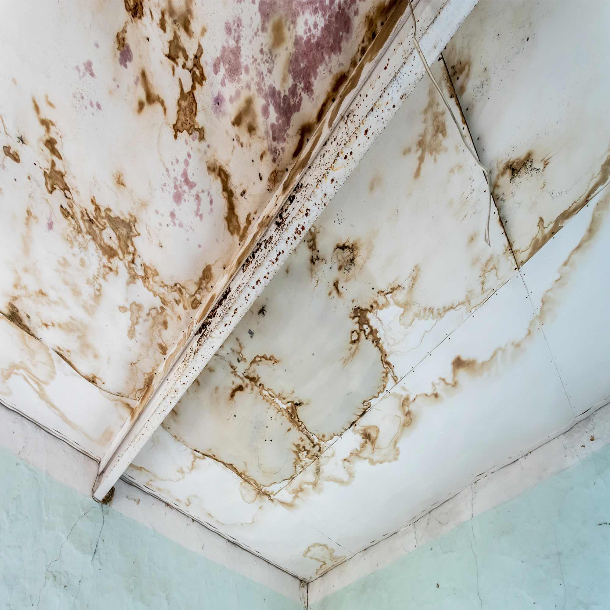 Pro Master Cleaning Restoration restoration work