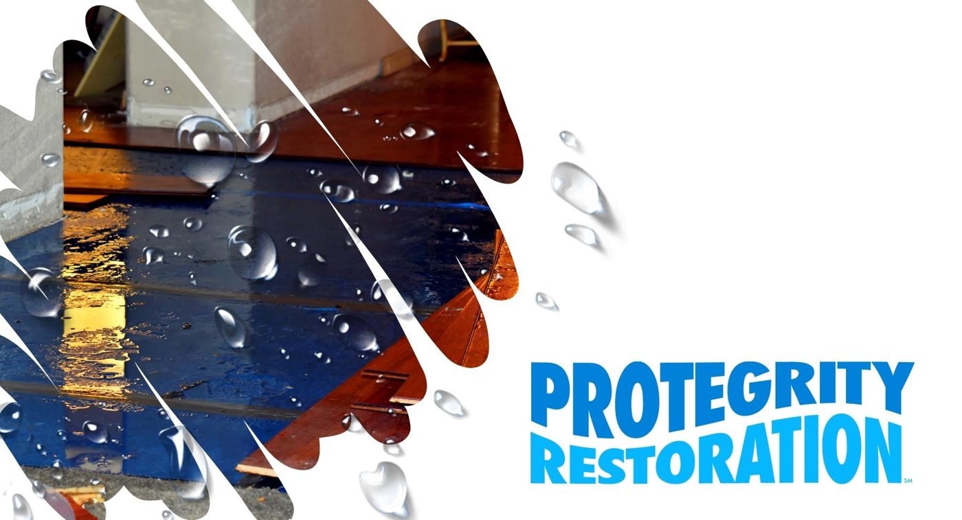 Protegrity Restoration — restoration services in Palm Harbor, FL