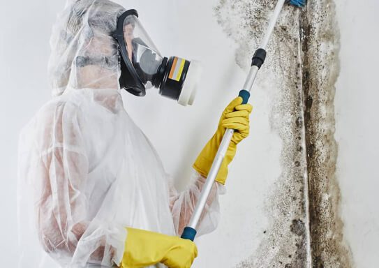Pur360 — restoration services in Lake Zurich, IL