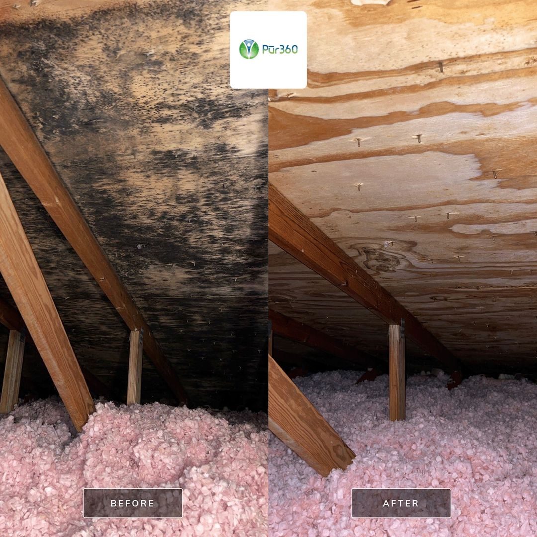 water damage restoration work by Pur360 in Lake Zurich, IL (photo 5 of 5)