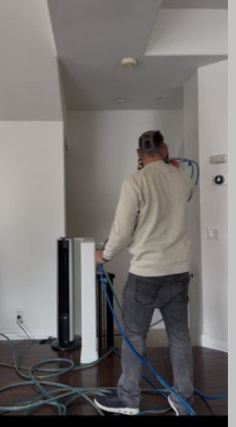 mold remediation work by Pure Maintenance of Southern California, LLC in Riverside, CA (photo 5 of 5)