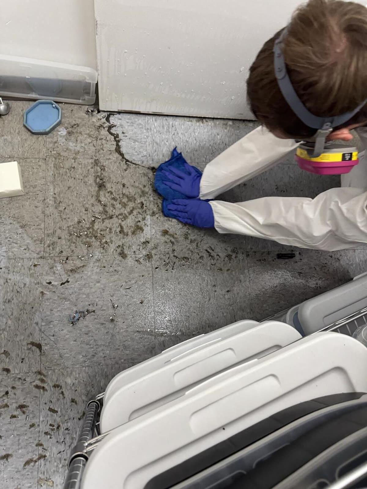 water damage restoration work by PuroClean of San Rafael in San Rafael, CA (photo 6 of 8)