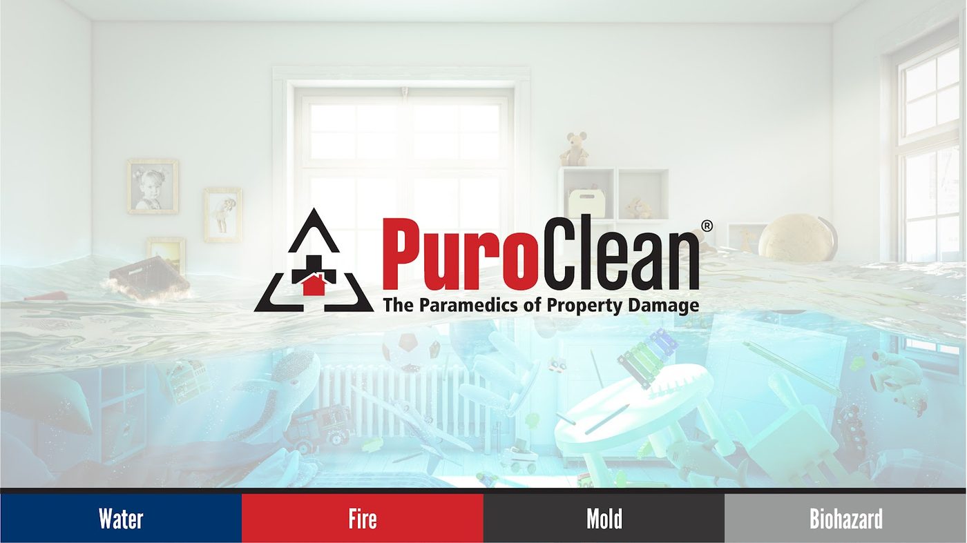 PuroClean of Vail Valley & Summit Resorts — restoration services in Leadville, CO