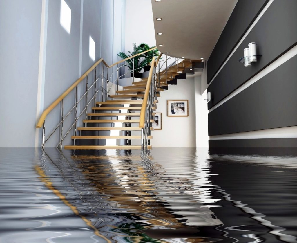 Rapid Dry — restoration services in Cottleville, MO