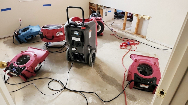 Red Dog Restoration photo 4