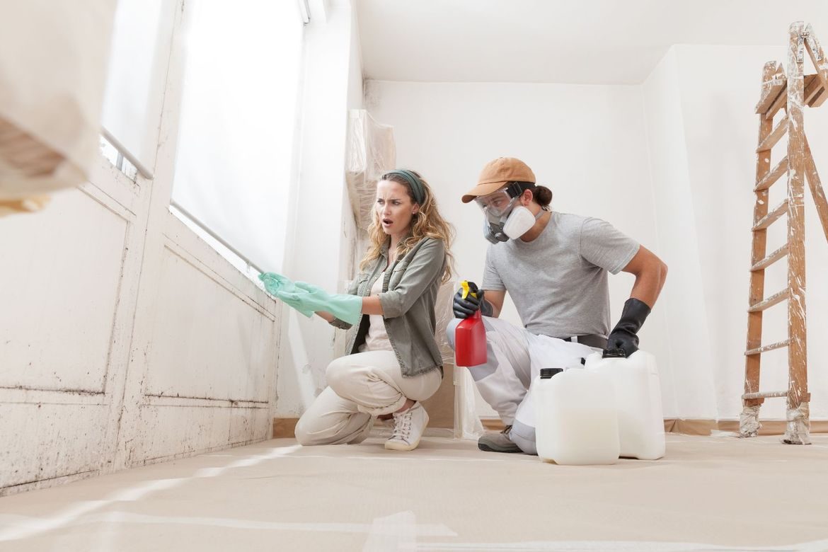 Redemption and Cleaning, LLC — restoration services in Farmington, NM