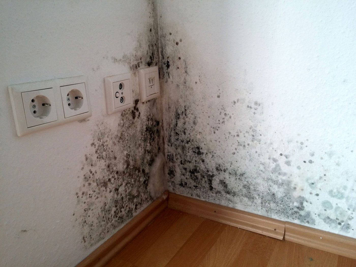 restoration work by Redemption and Cleaning, LLC in Farmington, NM (photo 2 of 5)