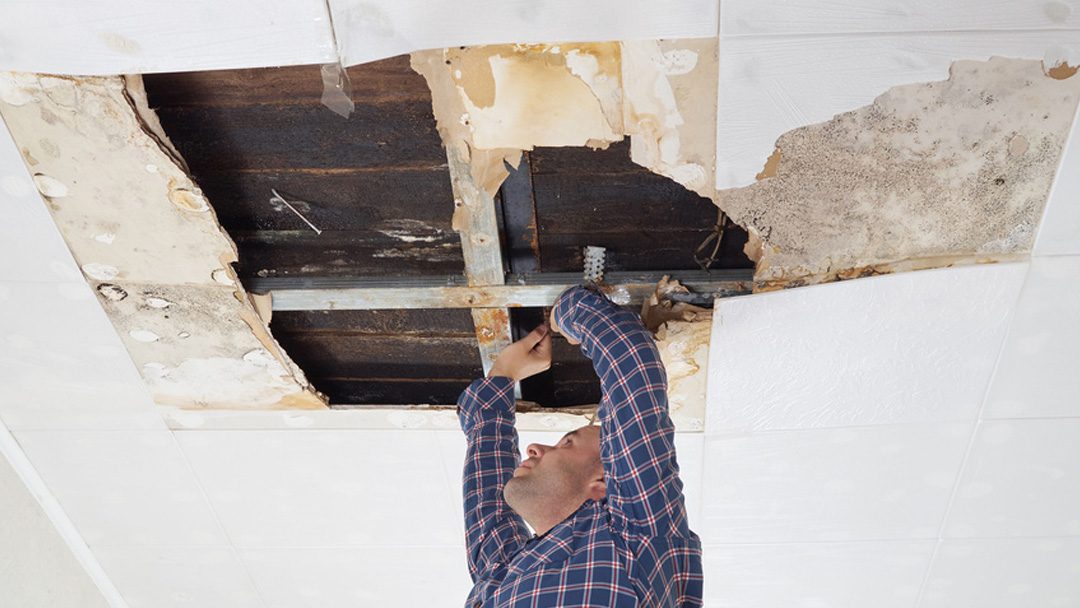 restoration work by Restoration 1 of Gulf Coast in Saucier, MS (photo 2 of 5)