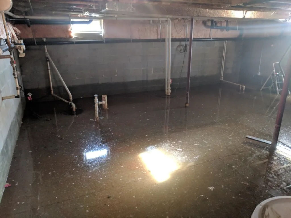 Restoration Logic photo 4