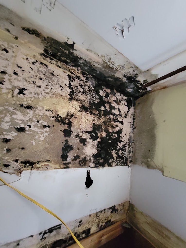 restoration work by Restoration NJ in Sparta, NJ (photo 3 of 6)