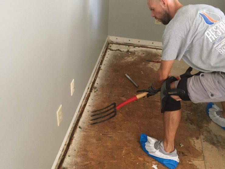 Restorex Disaster Restoration — restoration services in Mooresville, IN