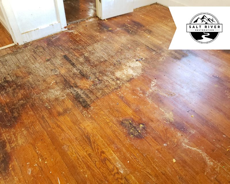 restoration work by Salt River Restoration in Queen Creek, AZ (photo 2 of 5)