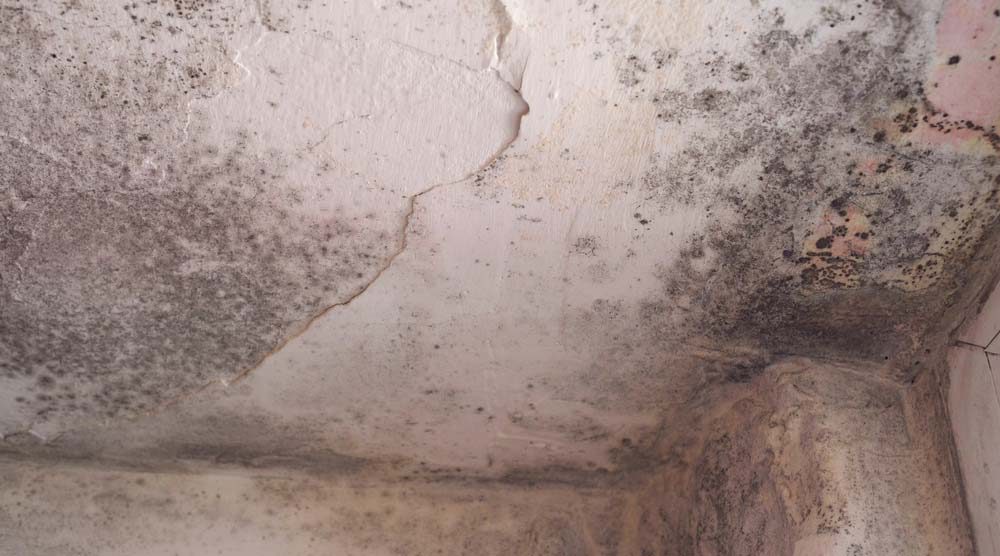 restoration work by Secure Restoration in Asheville, NC (photo 3 of 5)