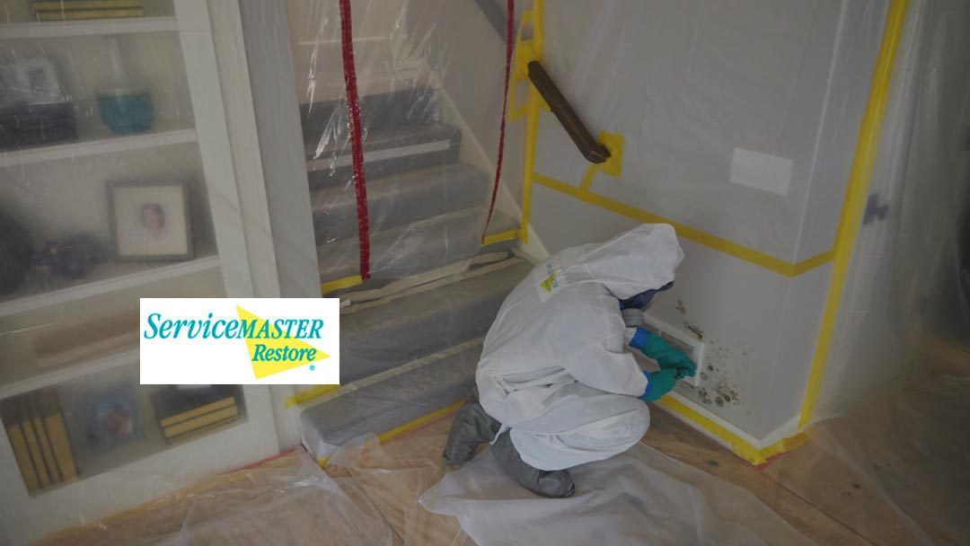 restoration work by ServiceMaster Fire & Water Restoration by Rapid Response in Kailua, HI (photo 2 of 5)