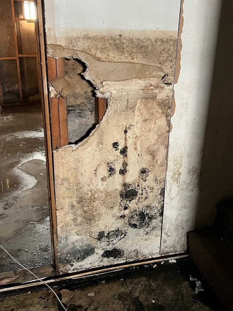 restoration work by Southern Restoration Raleigh in Raleigh, NC (photo 4 of 5)