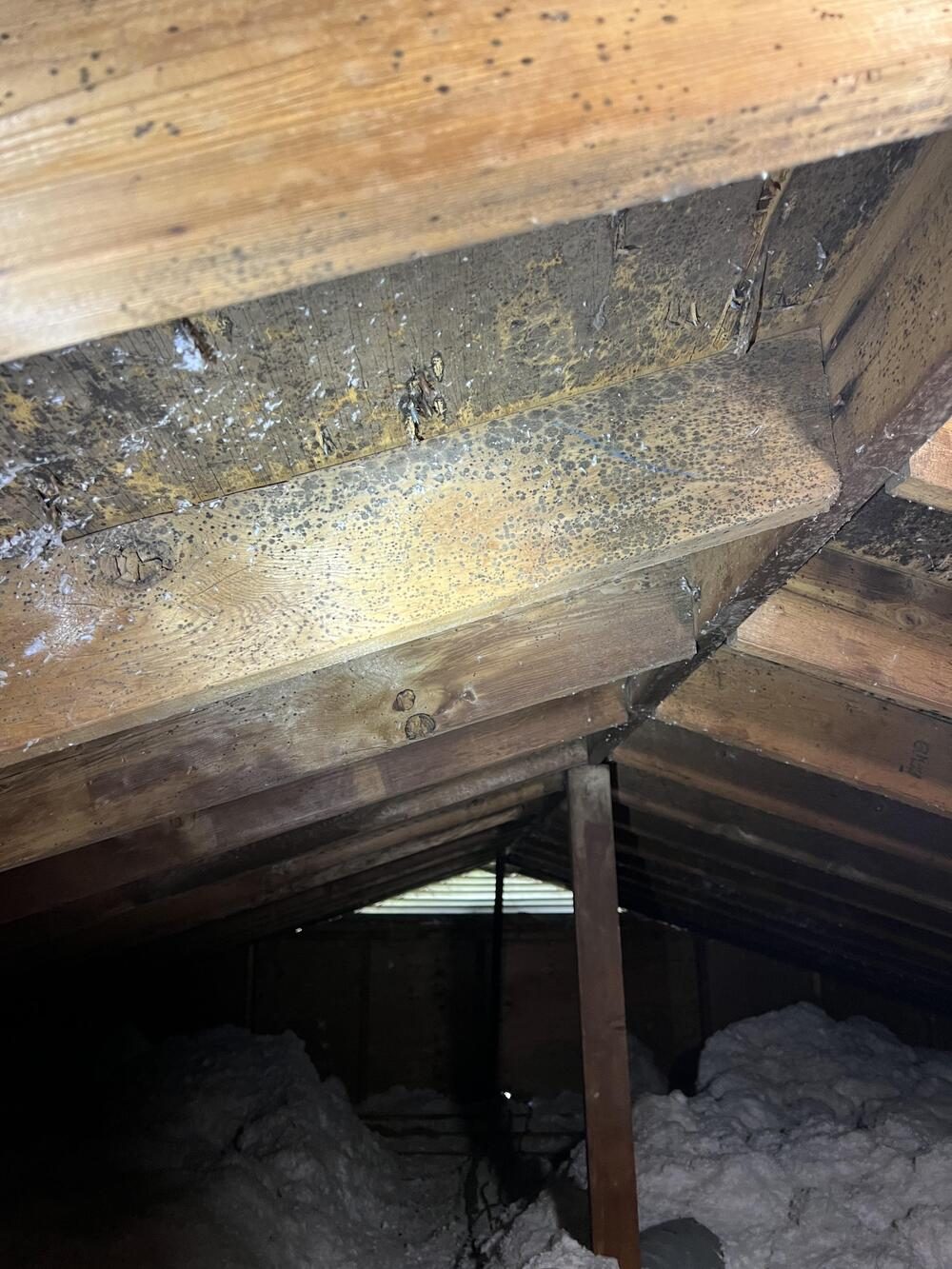 water damage restoration work by Spotless in Nicholasville, KY (photo 5 of 5)