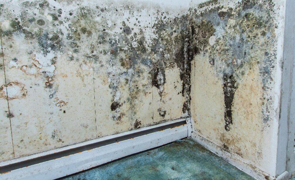 Superior Emergency Restoration LLC photo 3