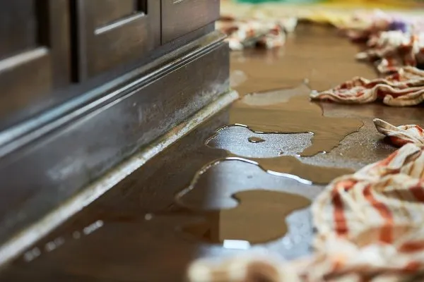 water damage restoration work by Swept Away Water Damage Restoration in Talent, OR (photo 5 of 5)