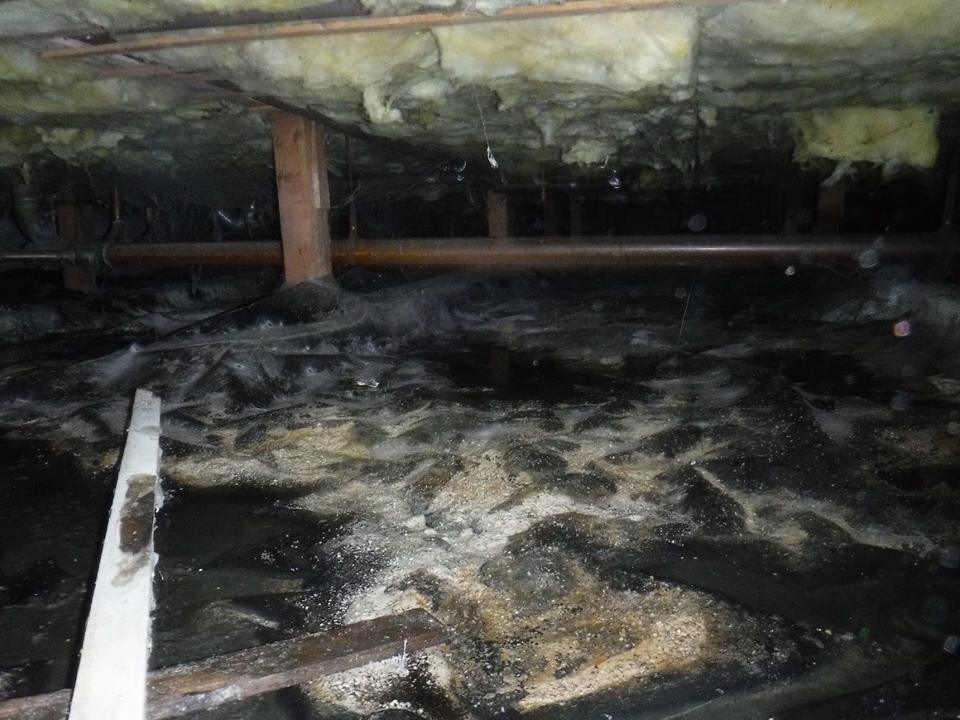 restoration work by The Flood Guys - Water, Fire, Mold & Storm in Kent, WA (photo 3 of 5)