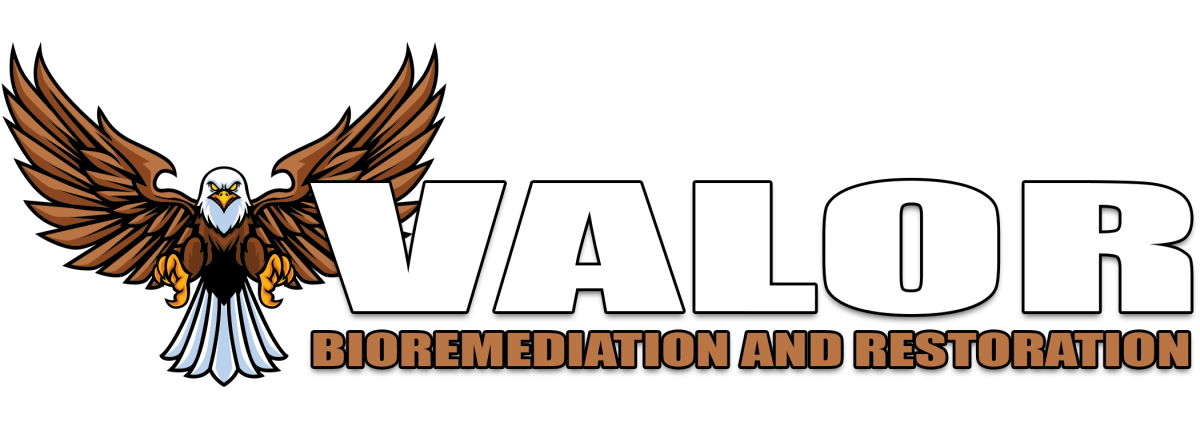Valor Bioremediation and Restoration Inc. restoration work