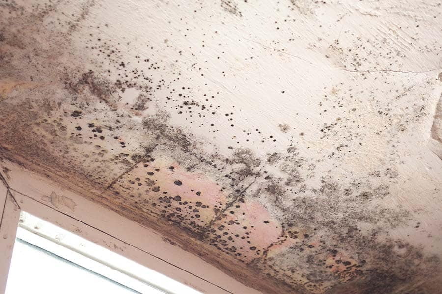 Valor Bioremediation and Restoration Inc. photo 4