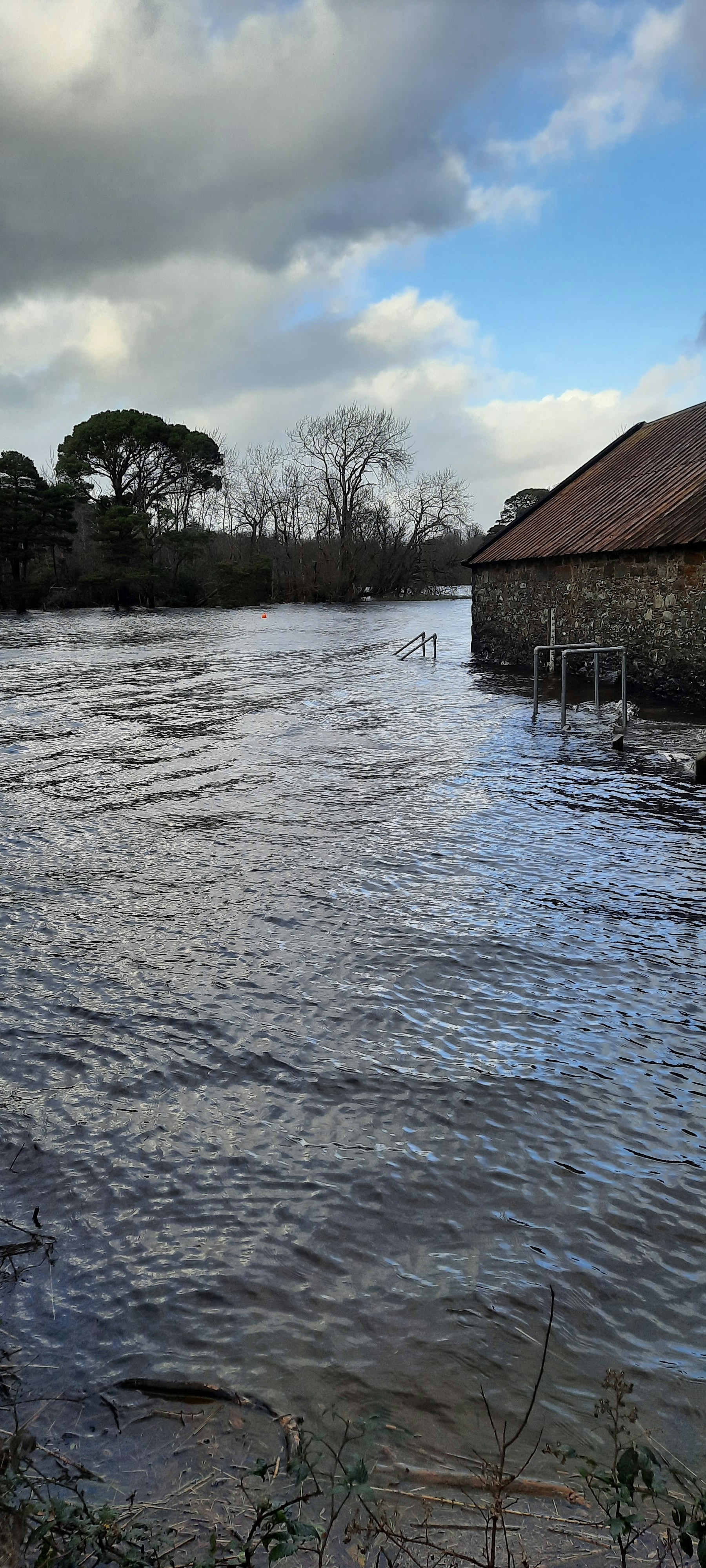 Water Damage Restoration Pro photo 4