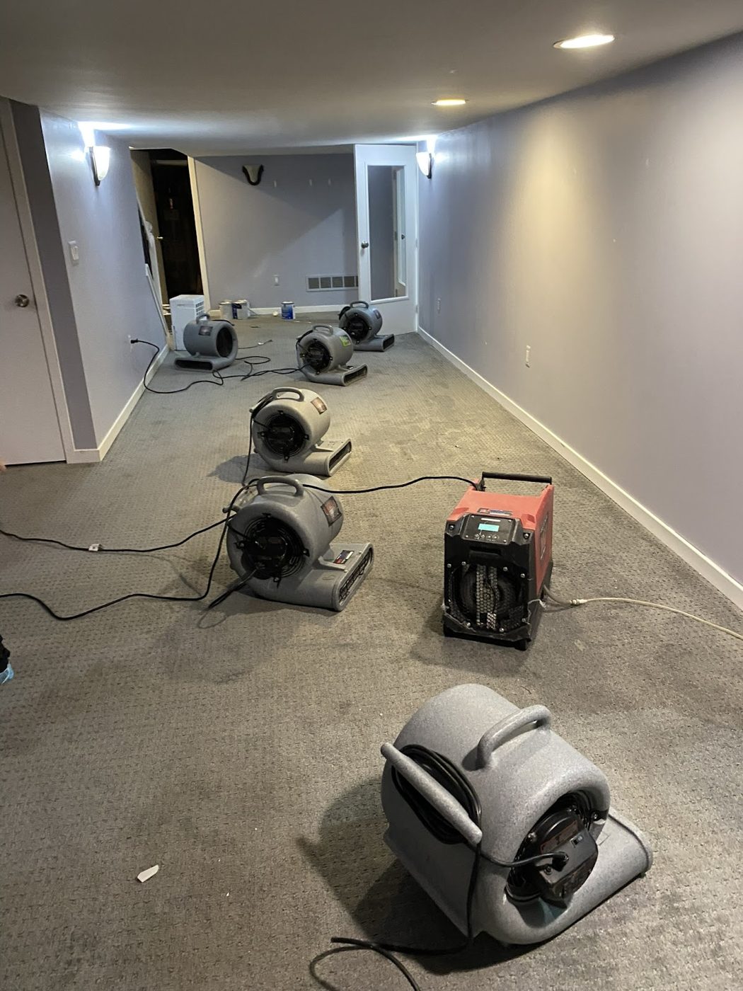 restoration work by weDRY Restoration in Auburn Hills, MI (photo 2 of 5)