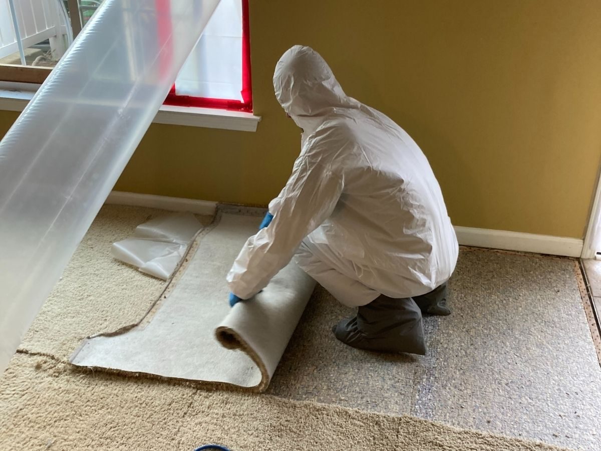 restoration work by weDRY Restoration in Auburn Hills, MI (photo 3 of 5)