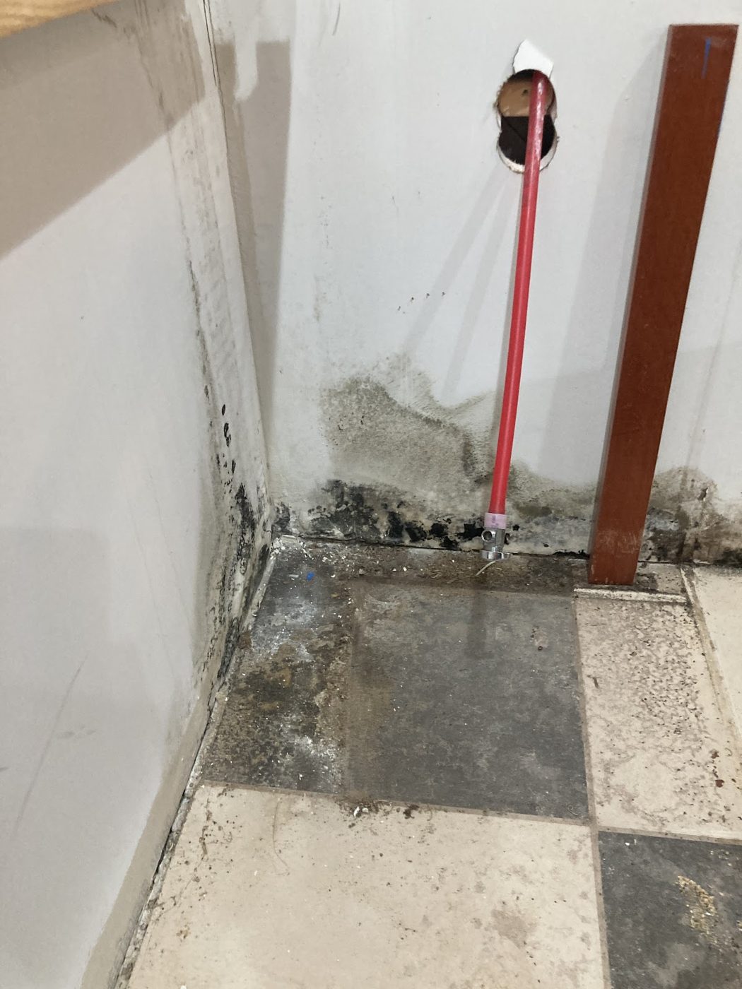 restoration work by weDRY Restoration in Auburn Hills, MI (photo 4 of 5)