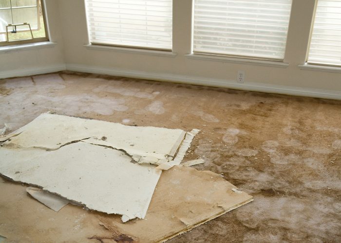 restoration work by West Valley Restoration in Glendale, AZ (photo 3 of 5)